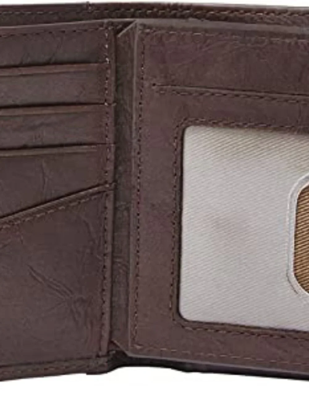 Fossil item description
